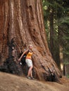 Mariposa Grove Redwoods