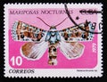 Mariposas Nocturnas Night Moths and shows Heterochroma sp., a moth of Noctuidae family, circa 1979 Royalty Free Stock Photo