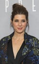 Marisa Tomei Royalty Free Stock Photo