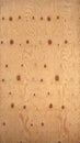 Maritime pine wall plywood texture