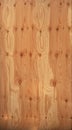 Maritime pine wall plywood texture