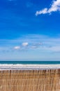 Sea waves at sand dune beach with blue sunny sky background Royalty Free Stock Photo