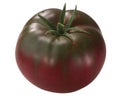 Marizol Maroon heirloom tomato Solanum lycopersicum fruit isolated