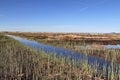 Natural landscape of a small wetland