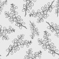 Marjoram branch with leaf seamless pattern