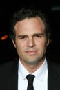 Mark Ruffalo Royalty Free Stock Photo
