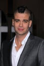 Mark Salling Royalty Free Stock Photo