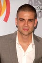 Mark Salling Royalty Free Stock Photo