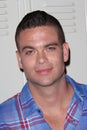 Mark Salling Royalty Free Stock Photo