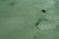 The mark of shoe print on the sand Royalty Free Stock Photo