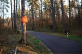 The mark on the tree is 500 in a forest Park near an asphalt road for trekking,sports walking, running and roller-skiing. The trav Royalty Free Stock Photo