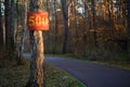 The mark on the tree is 500 in a forest Park near an asphalt road for trekking,sports walking, running and roller-skiing. The trav Royalty Free Stock Photo