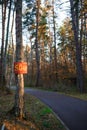 The mark on the tree is 500 in a forest Park near an asphalt road for trekking,sports walking, running and roller-skiing. The trav Royalty Free Stock Photo