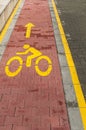 Marked bicycle path Royalty Free Stock Photo