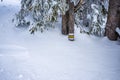 Marked path on tree stem in the winter mountains. Yellow touristic mark on slim spruce. Royalty Free Stock Photo