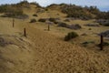 Marked Sandy Trail Climbing Dunes With Sparse Vegetation and Posts Royalty Free Stock Photo