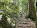 Marked tourist-hiking trail in Golubinjak forest park or Cave trail in Gorski kotar - Sleme, Croatia