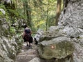 Marked tourist-hiking trail in Golubinjak forest park or Cave trail in Gorski kotar - Sleme, Croatia