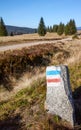 Marked trails on a rock at peatland of the Izera River Valley