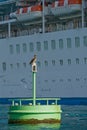 Marker buoy and cruise ship Royalty Free Stock Photo