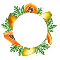 Marker frame, logo and templates with sweet ripe slice of papaya with grains in watercolor style. Hand drawn realistic