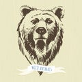 Marker hand-drawn forest animals: bear