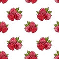Marker Hand drawn isolated seamless pattern Raspberry on blue background banner. Sketched food vector background