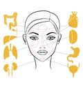 Markers of reflexology zones. Projection of the internal organs on the face of a woman. Isolated on white background