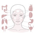 Markers of reflexology zones. Projection of the internal organs on the face of a woman. Isolated on white background