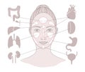 Markers of reflexology zones. Projection of the internal organs on the face of a woman. Isolated on white background