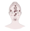 Markers of reflexology zones. Projection of the internal organs on the face of a woman. Isolated on white background