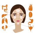 Markers of reflexology zones. Projection of the internal organs on the face of a woman. Isolated on white background