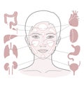 Markers of reflexology zones. Projection of the internal organs on the face of a woman. Isolated on white background