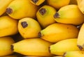 Market Bananas Royalty Free Stock Photo
