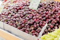 Market bin with cherries for sale with sign Royalty Free Stock Photo