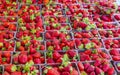 Market in Chania, Greece Royalty Free Stock Photo