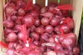 Red and white onions 2930