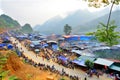 Can Cau Market in the morning dew