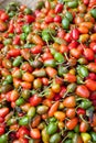 Market Fresh Small Capsicums, Nepal