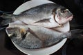 Market frozen silver sea bream raw uncooked fish sat on a white plate