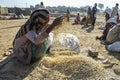 Market in Hawzien, Tigray, Ethiopia Royalty Free Stock Photo