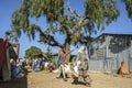 Market in Hawzien, Tigray, Ethiopia Royalty Free Stock Photo