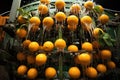 Market nature citrus fruit fresh vitamin oranges background food juicy organic healthy ripe background