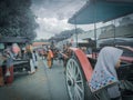 Market people traditional women vehicle road horse cars transportation outdoor