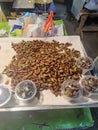 Market Phetchabun Thailand insect