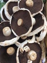 Market stall baskets full of fresh Portobello mushrooms