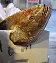 Big fish for sale at Rialto Fish Market by the grand canal Venice Italy Royalty Free Stock Photo