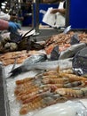 Market stall at spanish fish market. Counters with fresh fish