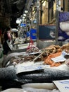 Market stall at spanish fish market. Counters with fresh fish