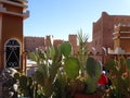 Street scene of Warzazat medina, Morocco